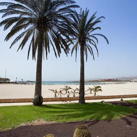 Bohemia 65 Sunbeach 度假居